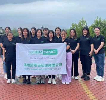 chemsino team