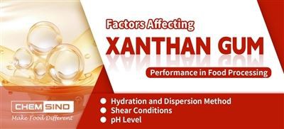 Gıda İşlemede Ksantan Sakızı Performansını Etkileyen Faktörler