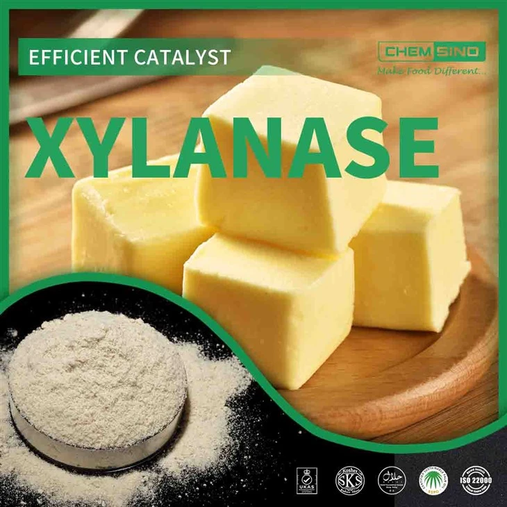 CAS 9025-57-4 Xylanase Enzim Gücü ile Sonuçlarınızı Yükseltin!