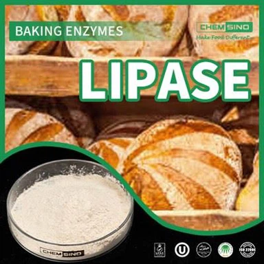 Sindirim Uyumu Sağlandı: Lipaz Enziminin Sihirli Dokunuşu CAS NO.:9001-62-1