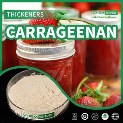 Çikolatalı Sütte Kalınlaştırıcı Carrageenan E407 Kullanımları