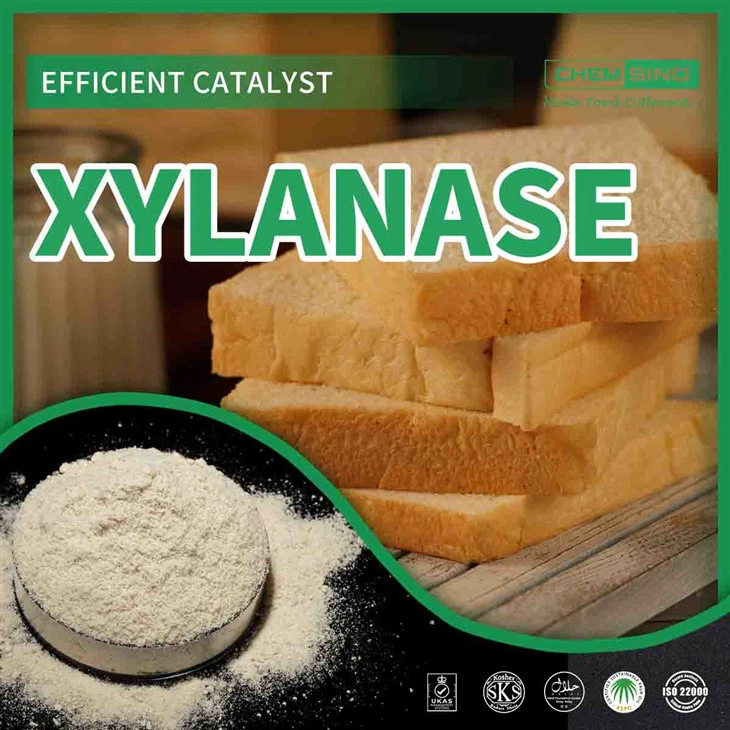 Ksilanaz Enzimi: Verimliliği Yeniden Tanımlıyoruz - CAS 9025-57-4 Kilidi Açıldı!